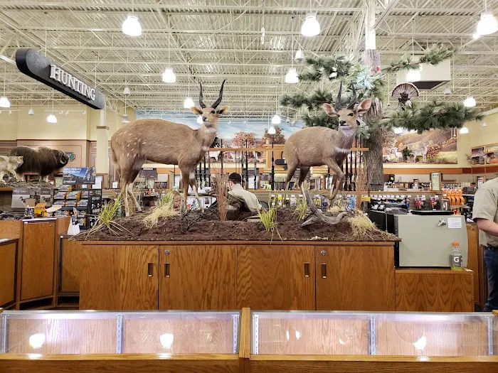 Cabela's 9