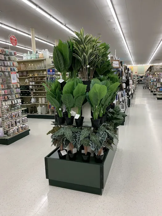 Hobby Lobby 5
