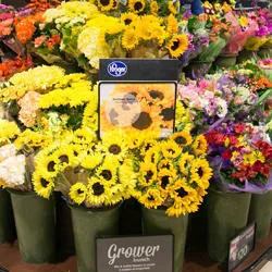 Kroger 9