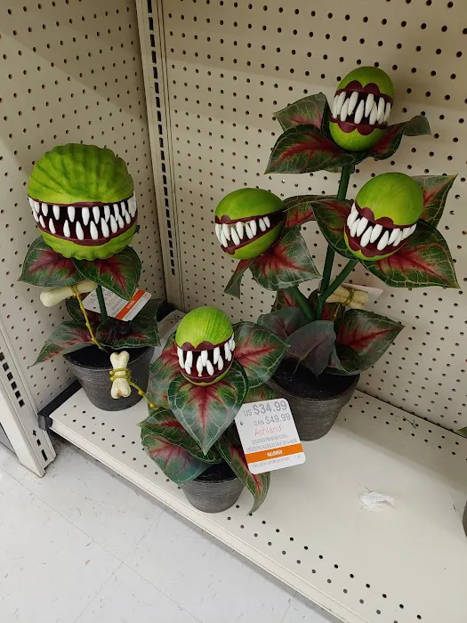 Michaels Craft Store 8
