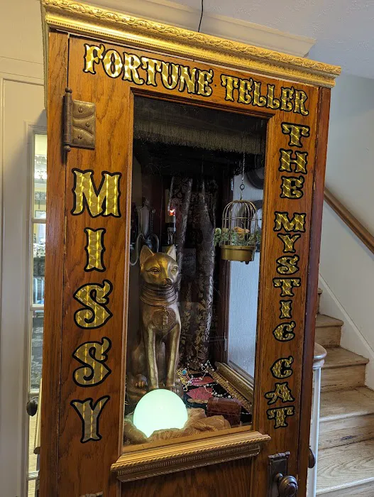 Black Cat Books & Oddities 1
