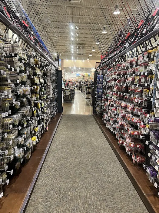 Cabela's 5