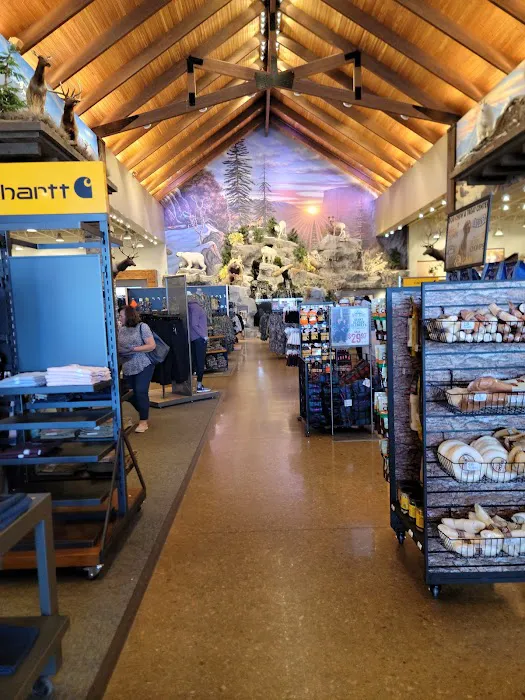 Cabela's 3