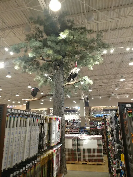Cabela's 2