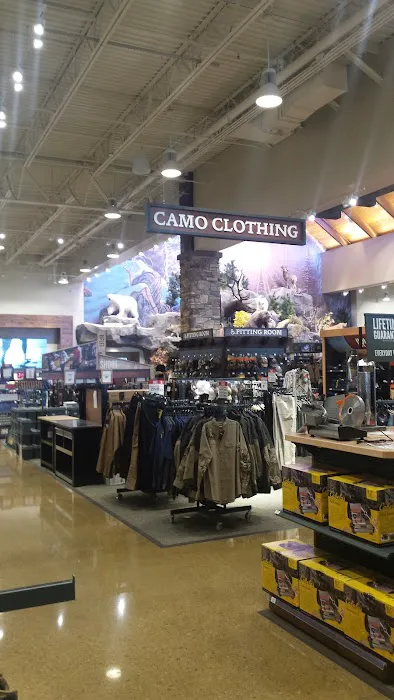 Cabela's 6