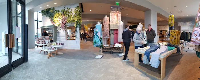 Anthropologie 2