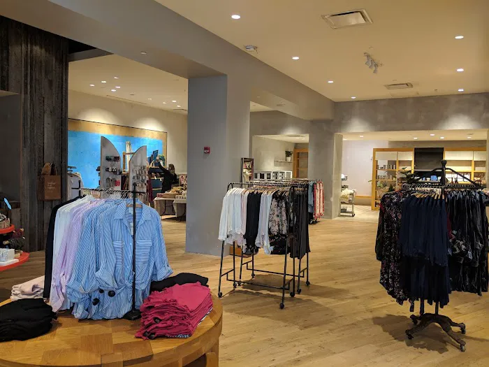 Anthropologie 1