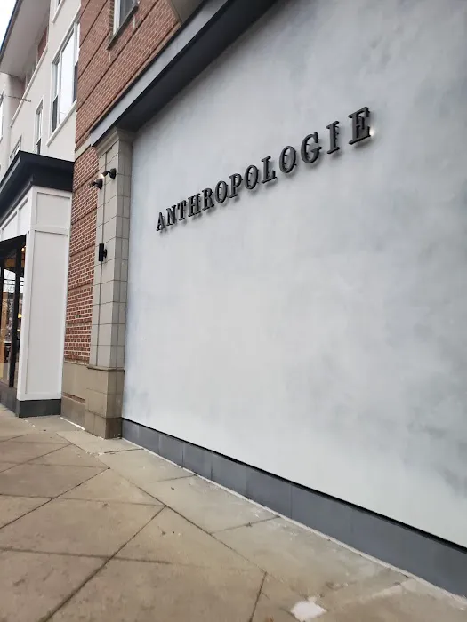 Anthropologie 3