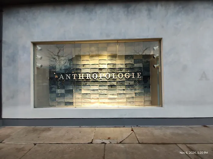 Anthropologie 6