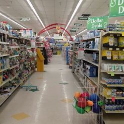Discount Drug Mart ico