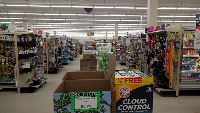 Discount Drug Mart 4