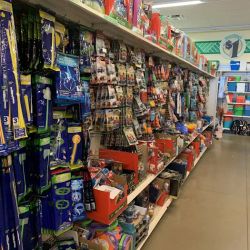 Dollar Tree ico
