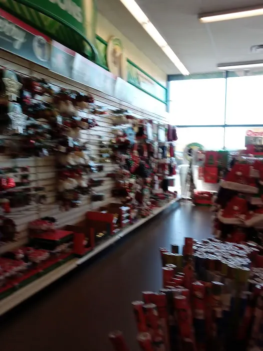 Dollar Tree 4