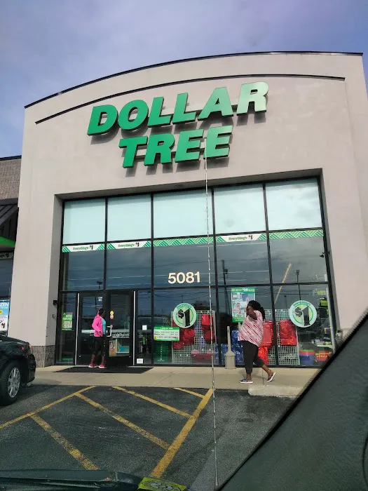 Dollar Tree 6