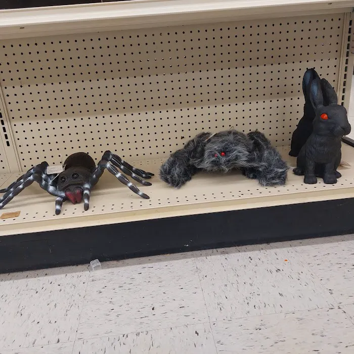 Michaels 5