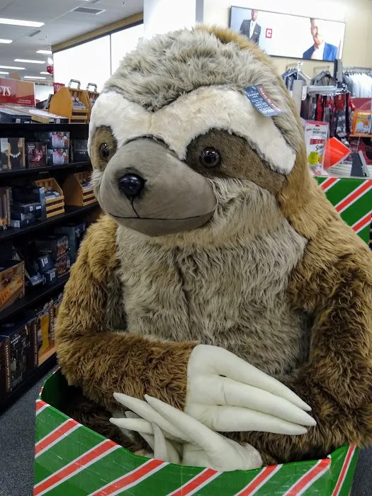 Kohl's 0
