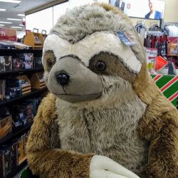Kohl's ico