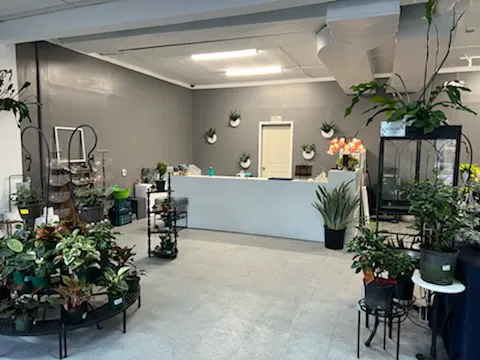 The Plant Shop 0