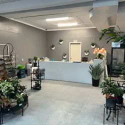 The Plant Shop ico