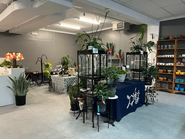 The Plant Shop 3