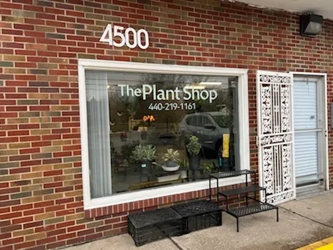 The Plant Shop 9