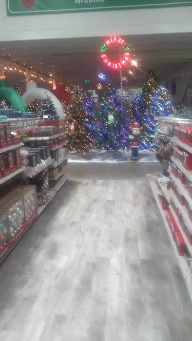 Menards 8