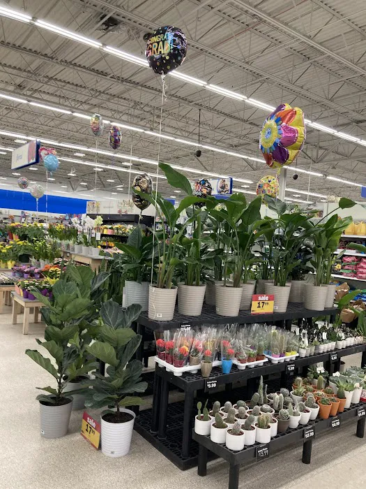 Meijer 5