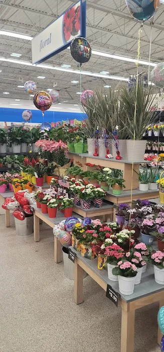 Meijer 7