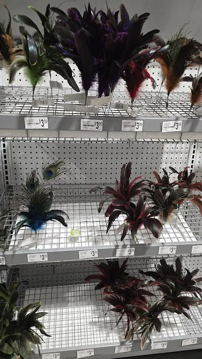 Michaels, Sandusky 5