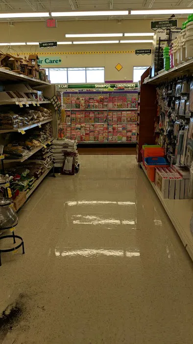 Discount Drug Mart 4