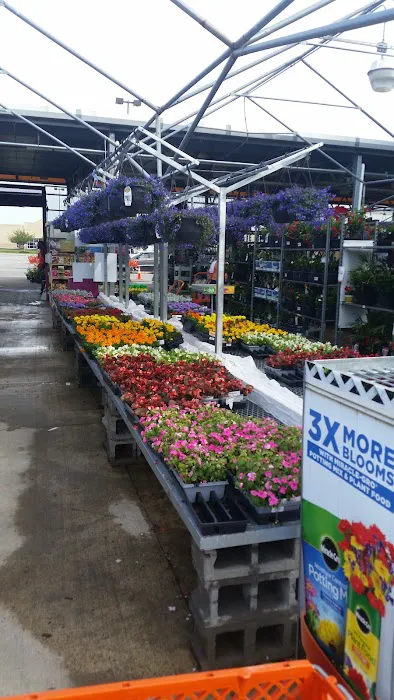 The Home Depot 4