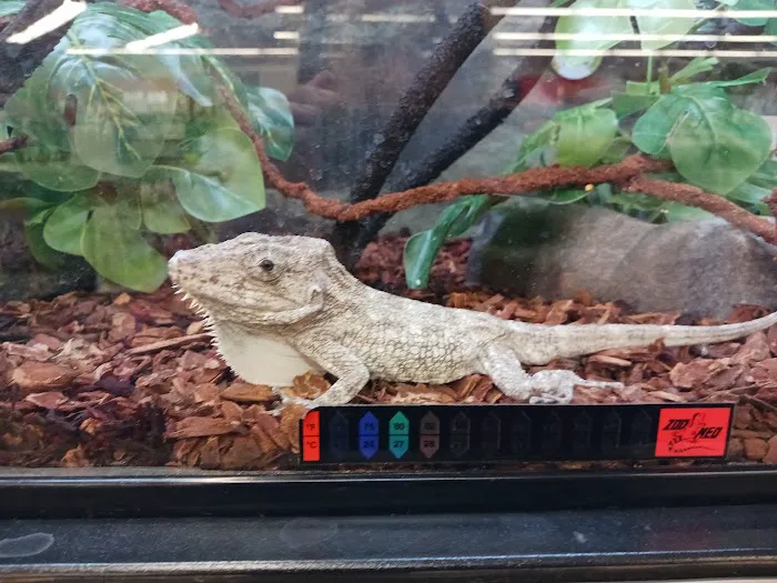 Petco 4