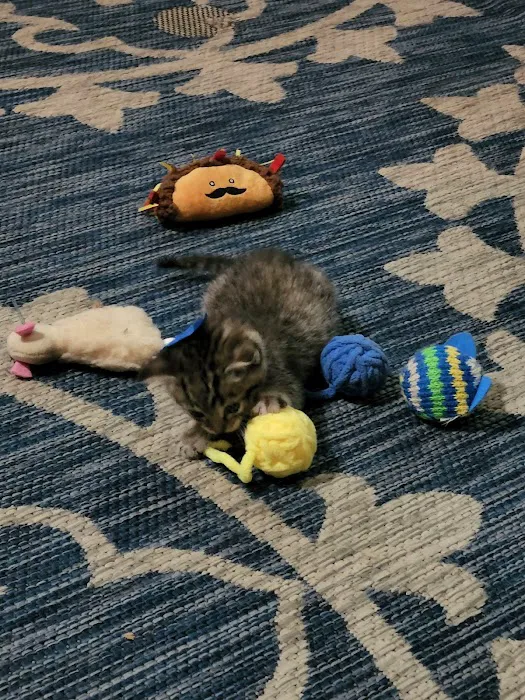 Petco 3