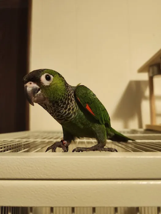 Petco 5