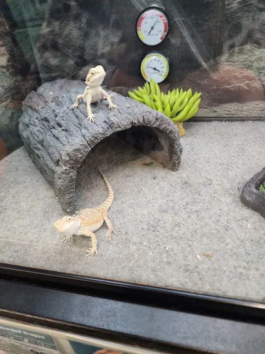 Petco 7
