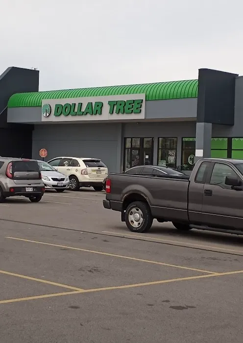 Dollar Tree 6