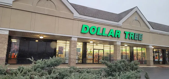 Dollar Tree 0