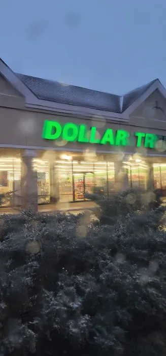 Dollar Tree 3