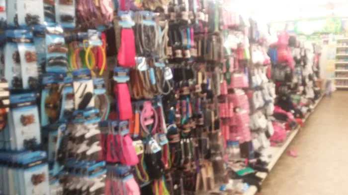 Dollar Tree 0