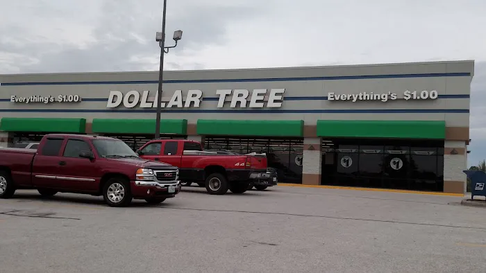Dollar Tree 6