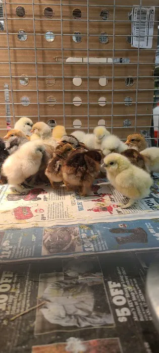 Tractor Supply Co. 6