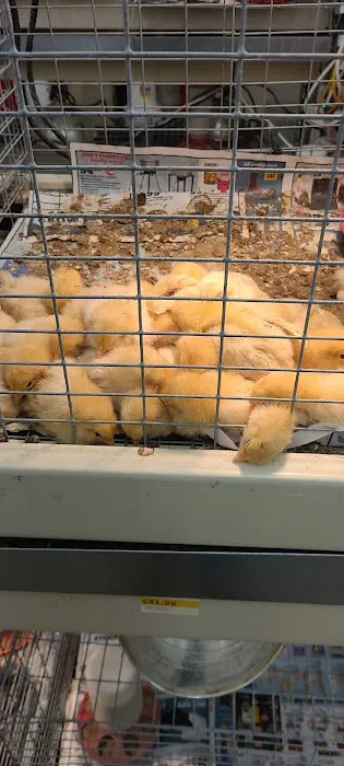 Tractor Supply Co. 3