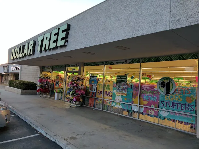 Dollar Tree 1