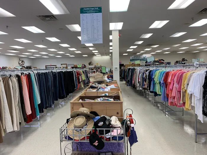 Guardian Angel Thrift 6