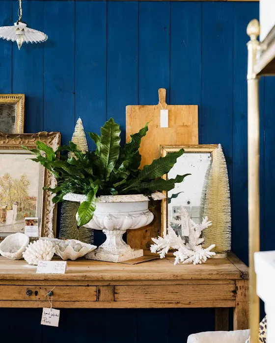 French Bleue 2