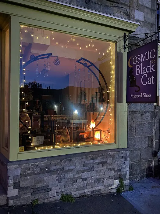 Cosmic Black Cat 7