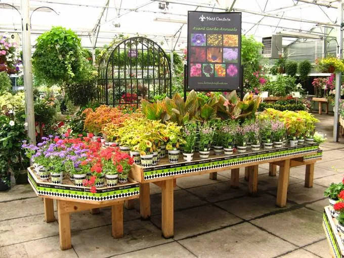 Homewood Nursery & Garden Center 1