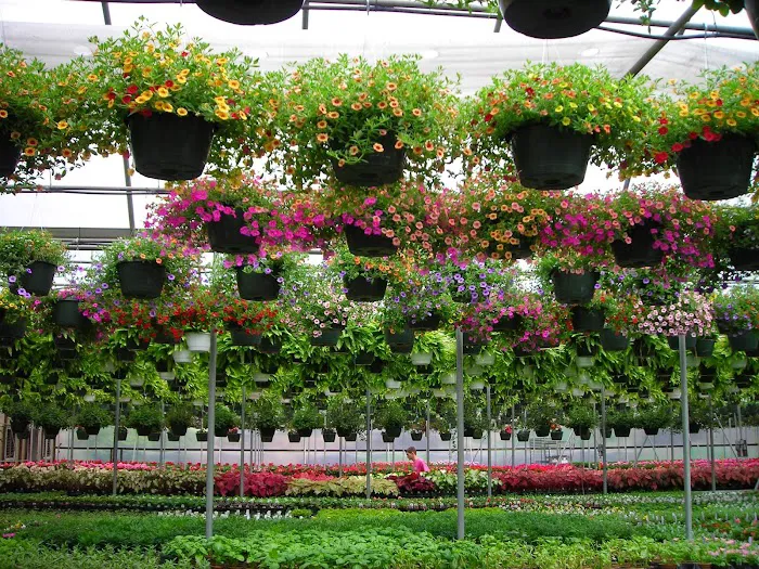 Homewood Nursery & Garden Center 5