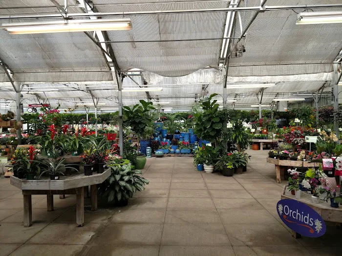 Homewood Nursery & Garden Center 9