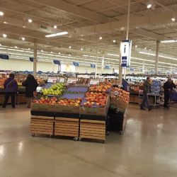 Meijer ico